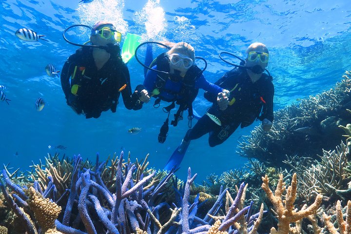 Quicksilver Outer Great Barrier Reef Snorkel Cruise from Palm Cove