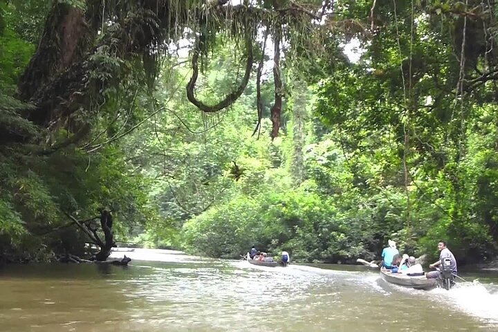 Kuala Besut to Taman Negara One Way SIC Transfers