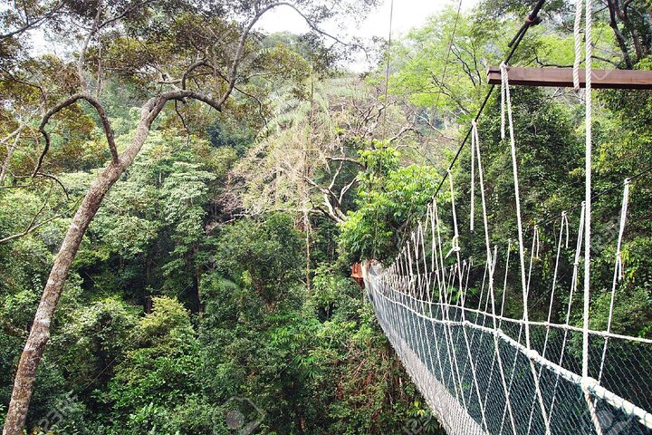 Kuala Besut to Taman Negara One Way SIC Transfers
