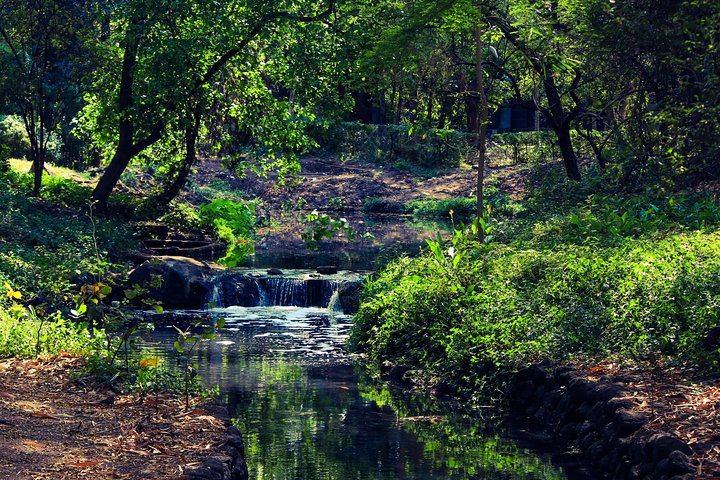 Full-Day Private Sightseeing Tour of Pune