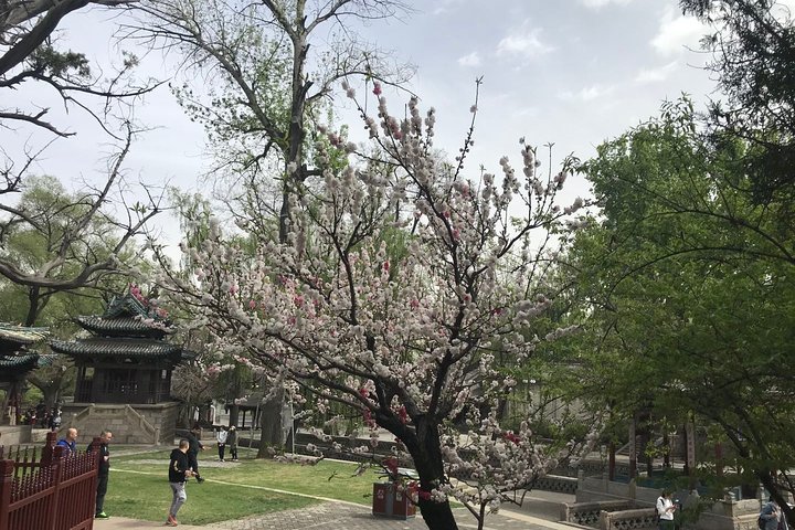 Private Day Tour in Taiyuan: Jinci, Mengshan Buddha, Tianlong Mount