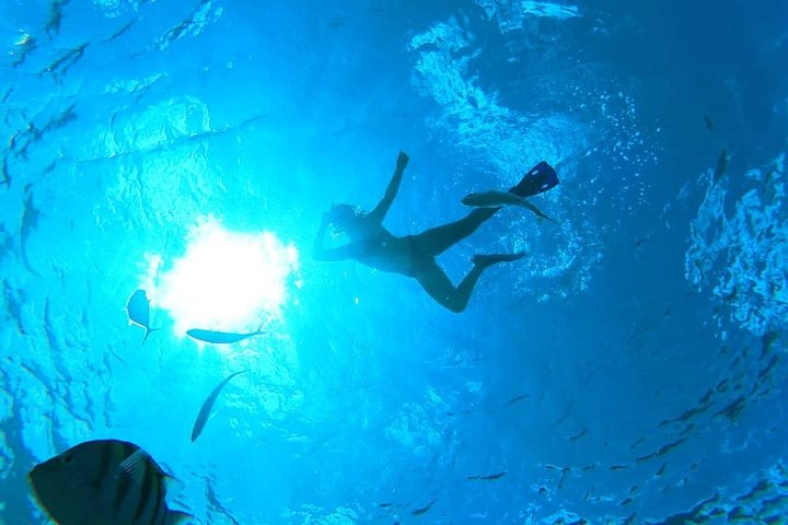 Cozumel Snorkeling Tour: Palancar, Columbia and El Cielo Reefs