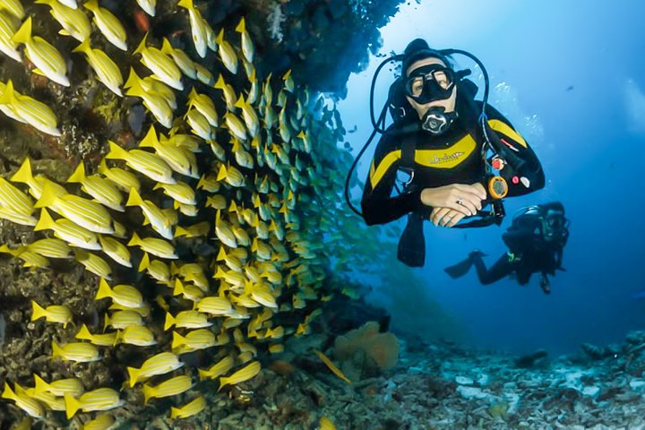 Snorkeling in Talawila St. Anne's Reef
