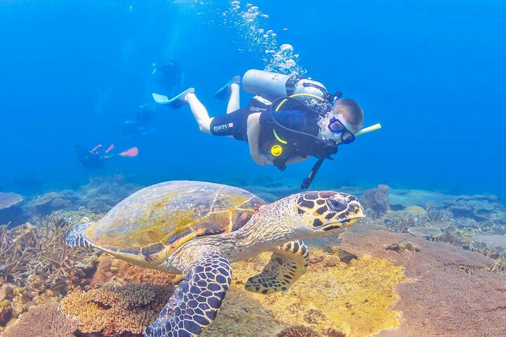 Snorkeling in Talawila St. Anne's Reef