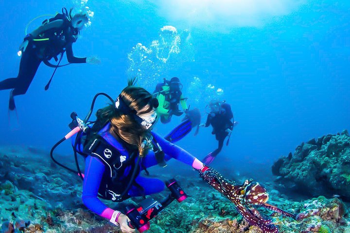 Snorkeling in Bar Reef Marine Sanctuary