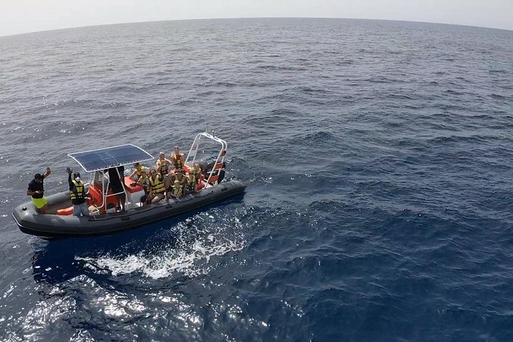 2h Dolphin and Whale Viewing + Snorkeling Tour