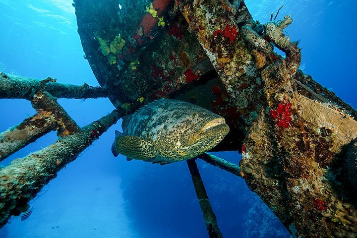 Snorkeling in Bar Reef Marine Sanctuary