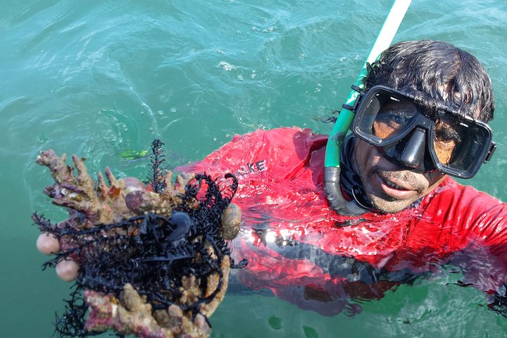 Snorkeling in Bar Reef Marine Sanctuary