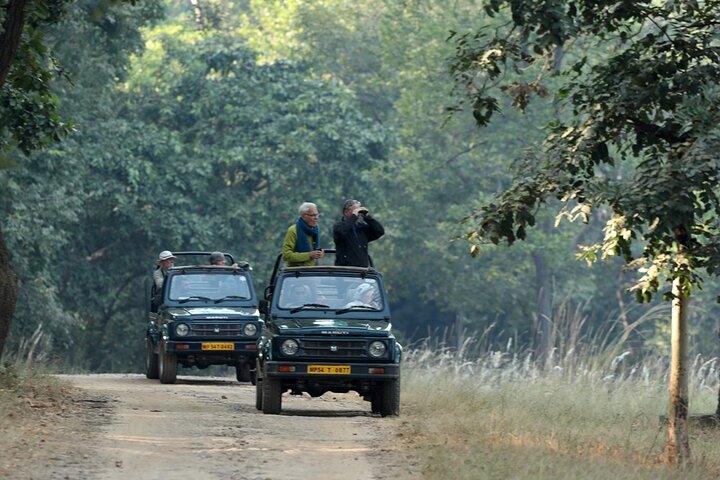 WildlifeSafari in Tadoba, Pench, Kanha & Bandhavgarh NationalPark