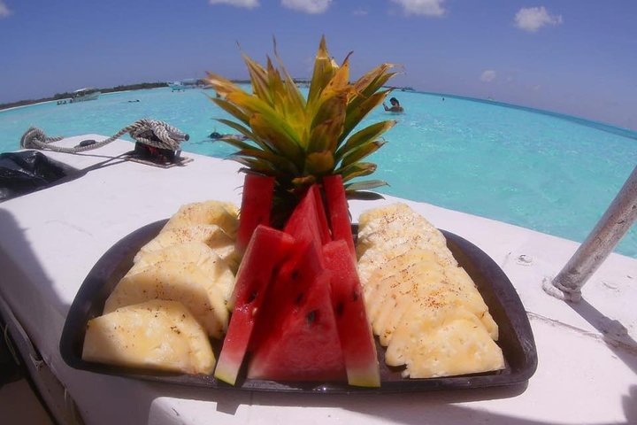 Cozumel Snorkeling Tour: Palancar, Columbia and El Cielo Reefs
