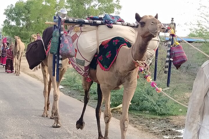 Private Jodhpur Blue City Tour with Hotel Pickup and Drop-off