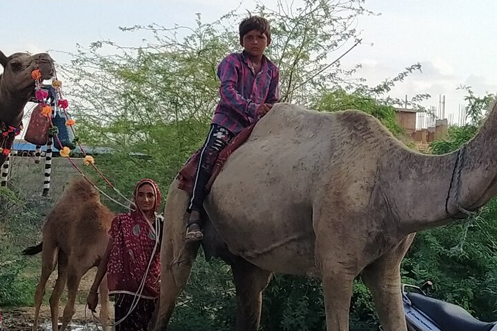 Mehrangarh Fort and Blue City Historic Tour with Local Guide