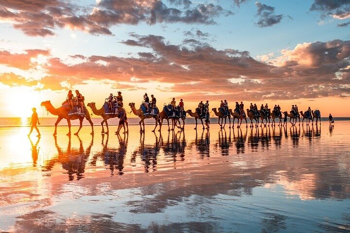 1 Hour Broome Sunset Camel Tour