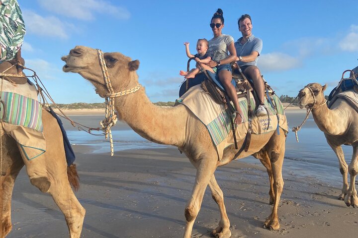 1 Hour Broome Sunset Camel Tour