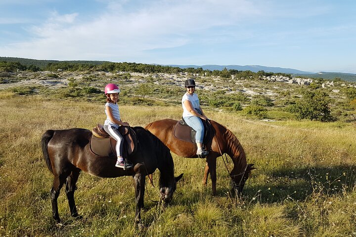 Horse ride in Haute Provence Luberon and Forcalquier