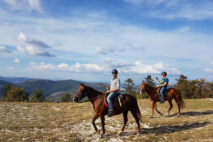 Horse ride in Haute Provence Luberon and Forcalquier
