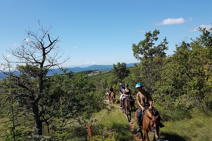 Horse ride in Haute Provence Luberon and Forcalquier