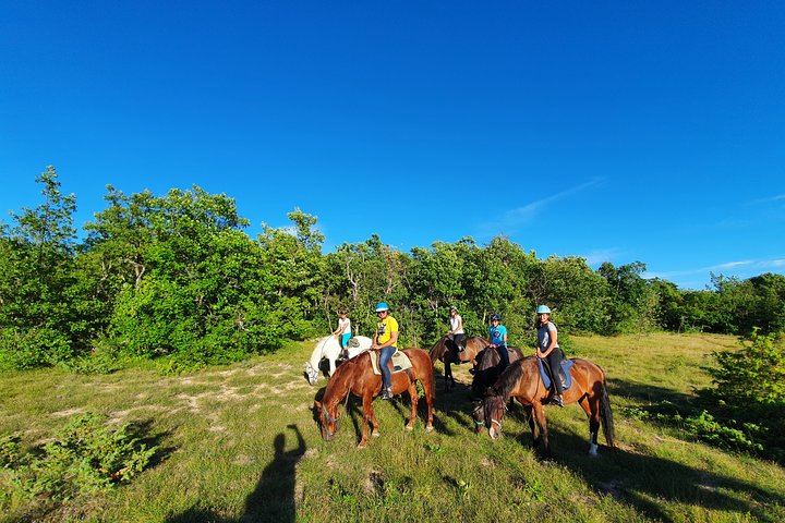 Horse ride in Haute Provence Luberon and Forcalquier