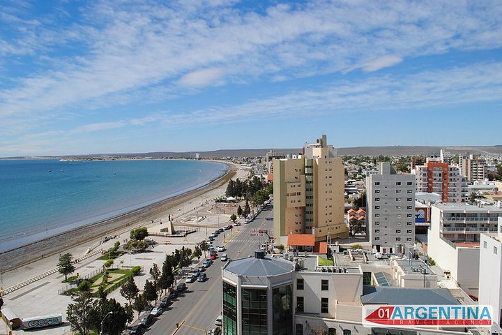 Shore Excursion Punta Loma Sea Lions Reserve Including Puerto Madryn City Tour