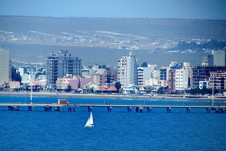 Shore Excursion Punta Loma Sea Lions Reserve Including Puerto Madryn City Tour