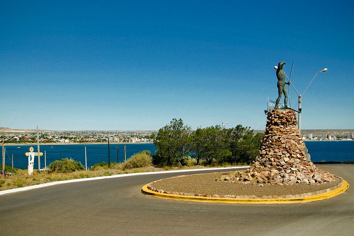 Shore Excursion Punta Loma Sea Lions Reserve Including Puerto Madryn City Tour