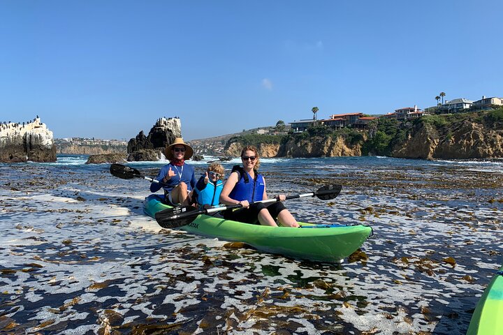 Laguna Beach Open Ocean Kayaking Tour with Sea Lion Sightings