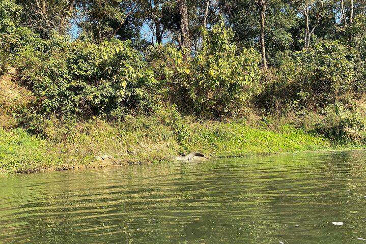 Chitwan Jungle Safari with Overnight Stay