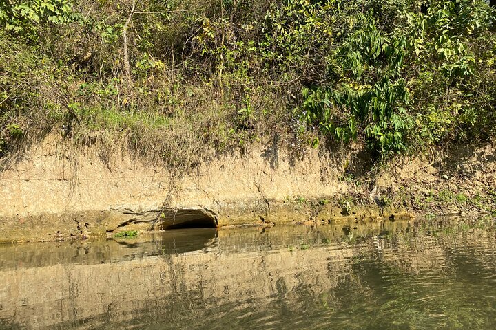 Chitwan Jungle Safari with Overnight Stay