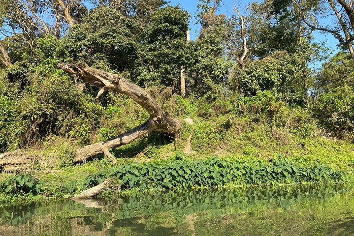 Chitwan Jungle Safari with Overnight Stay