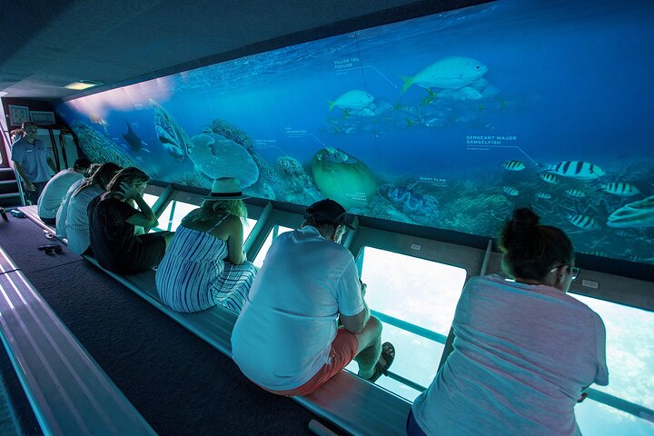 Great Barrier Reef Full Day Adventure
