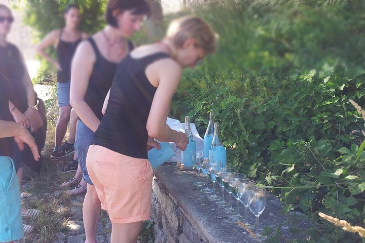 Wine rally in Würzburg with tasting
