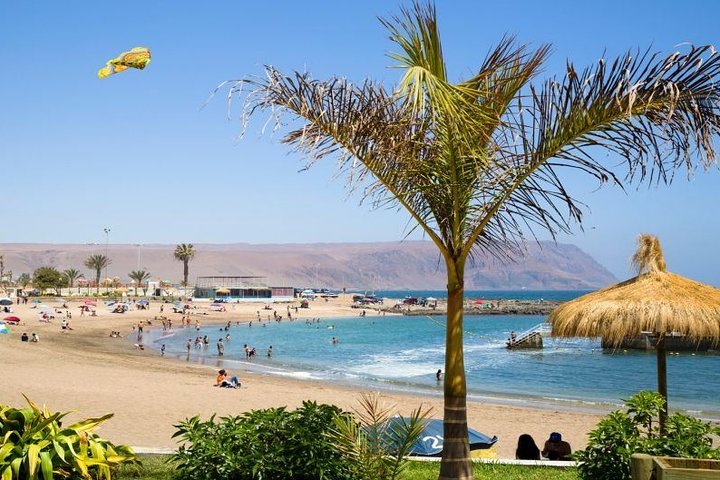 Arica Private Sightseeing Tour