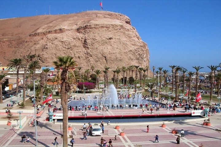 Arica Private Sightseeing Tour