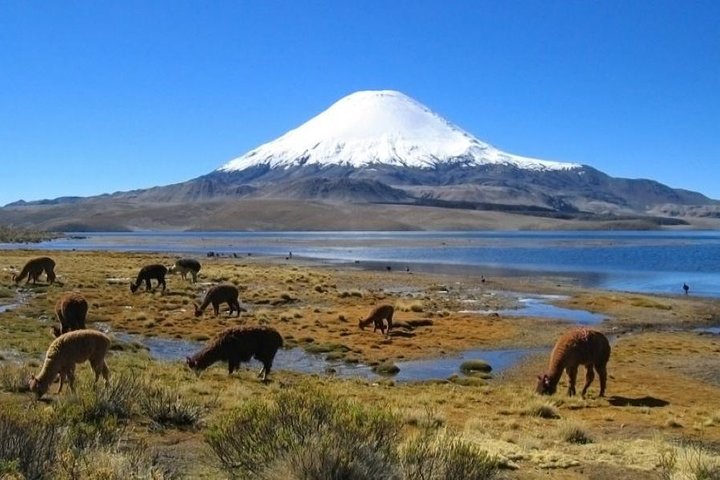 Lauca National Park and Chungara Lake from Arica