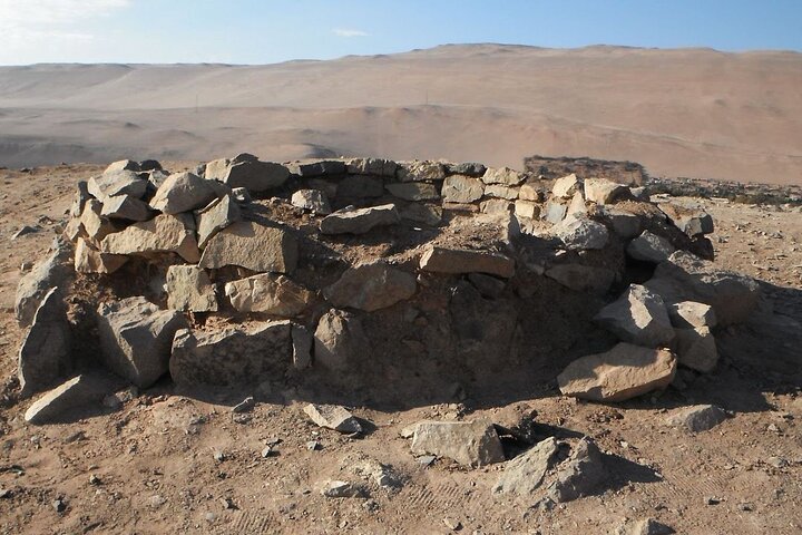 Archeological Sightseeing tour in Arica