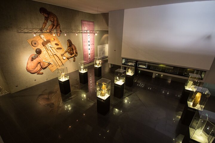 Archeological Sightseeing tour in Arica