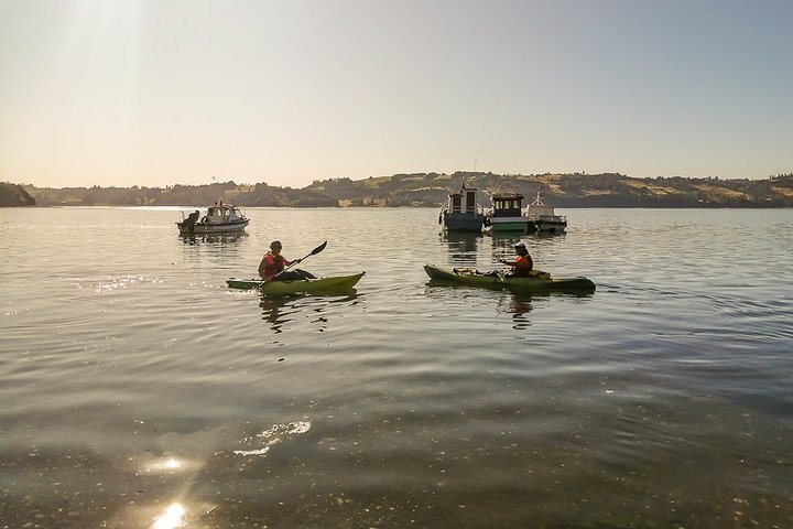 Kayaking in Chiloé Island