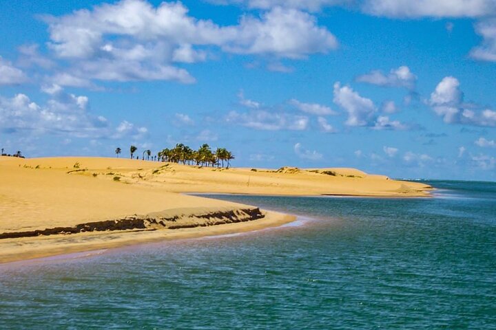Boat ride: São Francisco River, the largest in Brazil