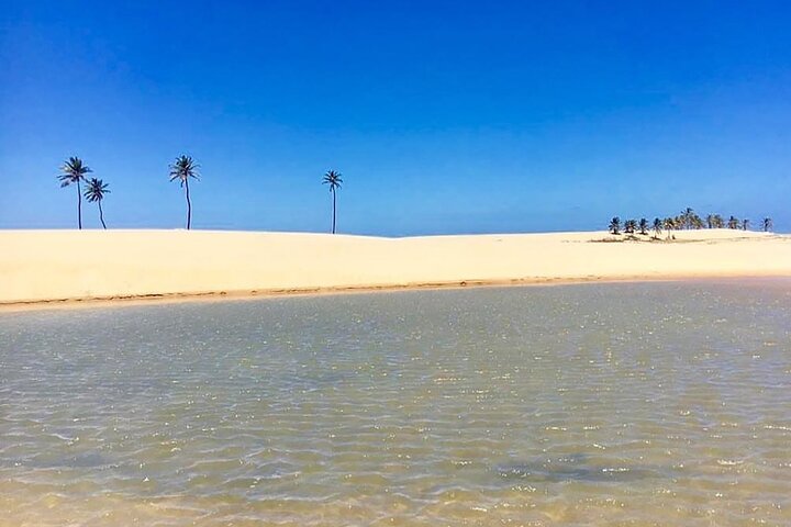 Boat ride: São Francisco River, the largest in Brazil