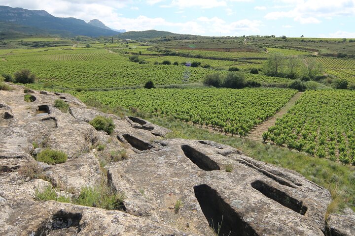Private Vineyards Tour in San Vicente de la Sonsierra