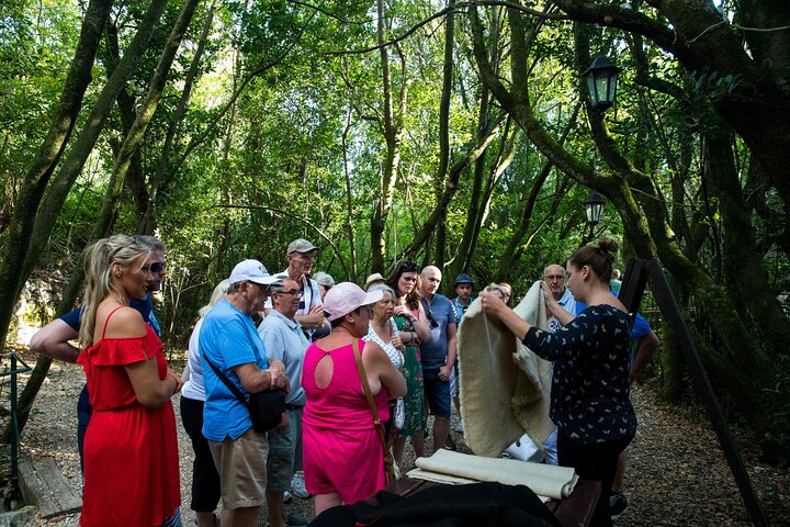 Konavle Valley Wine Tour from Dubrovnik -Train Ride &Wine Tasting