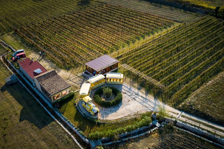 Konavle Valley Wine Tour from Dubrovnik -Train Ride &Wine Tasting