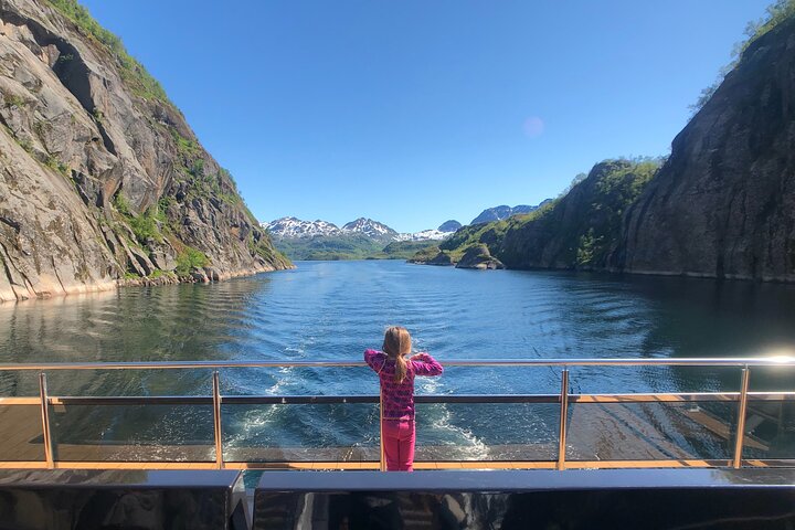 Lofoten Island: Silent Trollfjord Cruise from Svolvær