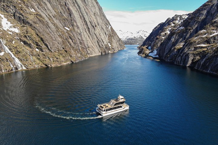 Lofoten Island: Silent Trollfjord Cruise from Svolvær