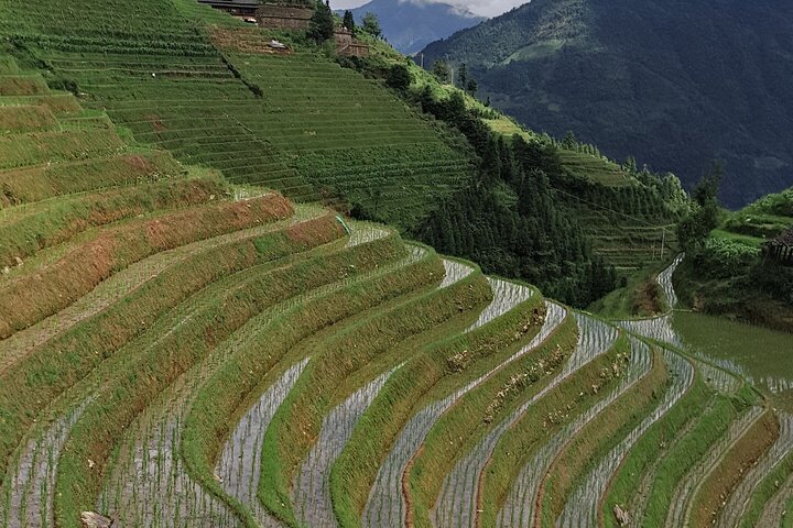9-Day Private Tour from Nanning to Yangshuo and Guangzhou by car