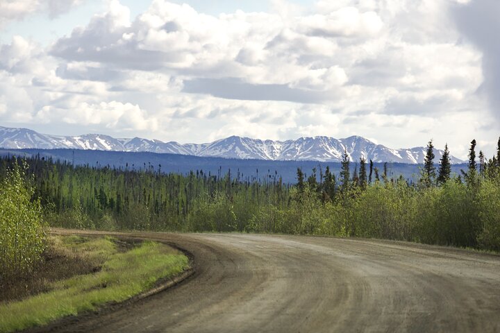 Arctic Circle Day Tour
