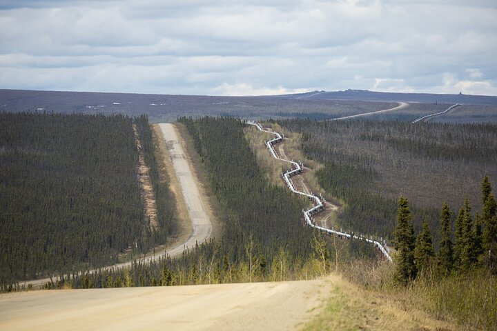 Arctic Circle Day Tour