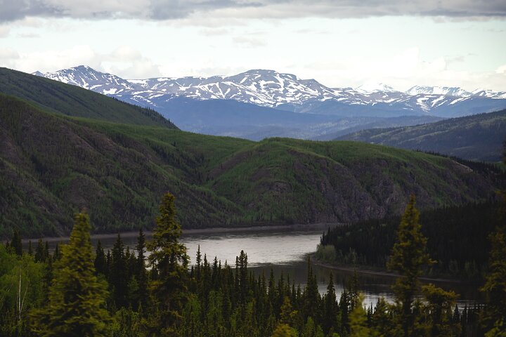 Arctic Circle Day Tour
