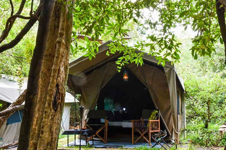 One Night Camping at Wasgamuwa National Park