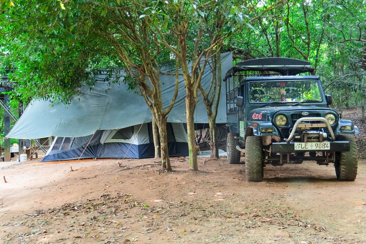 One Night Camping at Wasgamuwa National Park